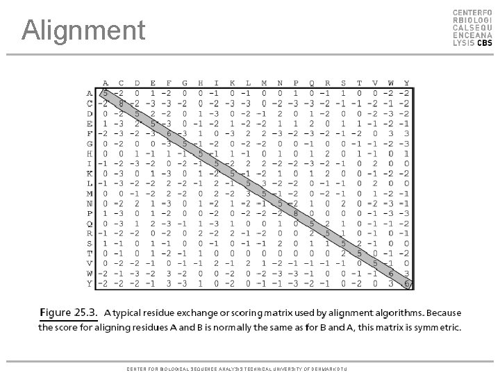 Alignment CENTER FOR BIOLOGICAL SEQUENCE ANALYSIS TECHNICAL UNIVERSITY OF DENMARK DTU 
