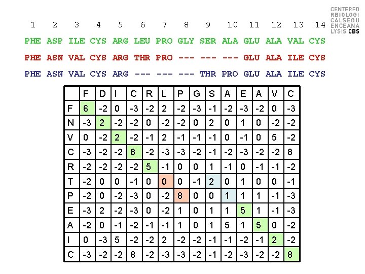 1 2 3 4 5 6 7 8 9 10 11 12 13 14