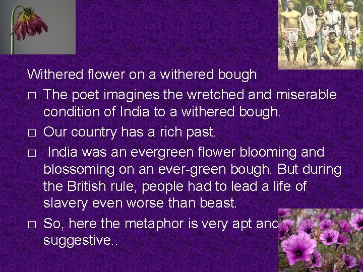 Withered flower on a withered bough � The poet imagines the wretched and miserable