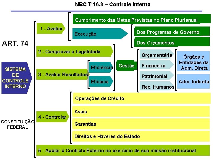 NBC T 16. 8 – Controle Interno Cumprimento das Metas Previstas no Plano Plurianual