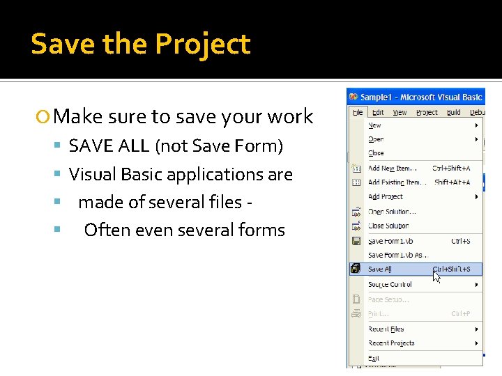 Save the Project Make sure to save your work SAVE ALL (not Save Form) Save the Project Make sure to save your work SAVE ALL (not Save Form)