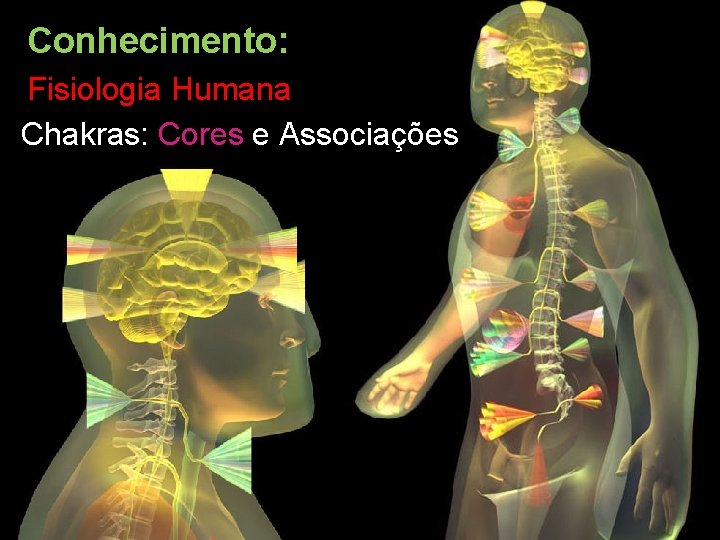 Conhecimento: Fisiologia Humana Chakras: Cores e Associações 