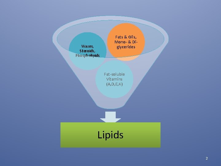 Waxes, Steroids, Phospholipids Fats & Oils, Mono- & Diglycerides Fat-soluble Vitamins (A, D, E,