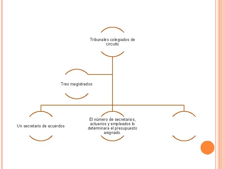 Tribunales colegiados de circuito Tres magistrados Un secretario de acuerdos El número de secretarios,