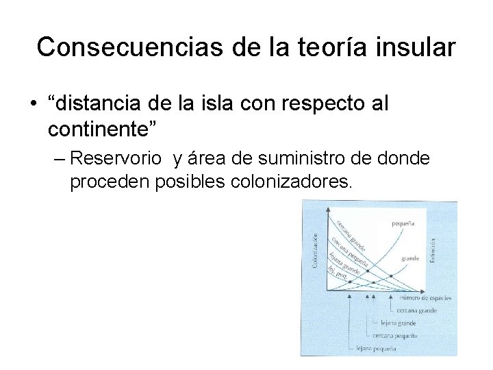 Consecuencias de la teoría insular • “distancia de la isla con respecto al continente”