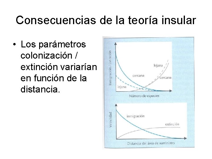 Consecuencias de la teoría insular • Los parámetros colonización / extinción variarían en función