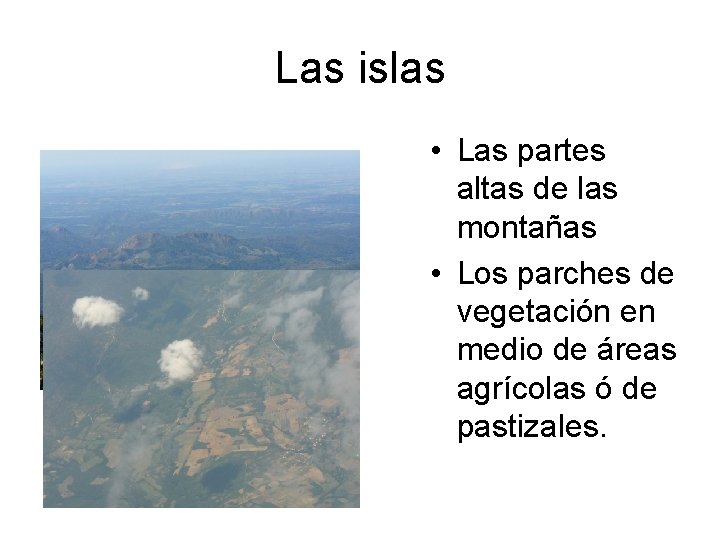 Las islas • Las partes altas de las montañas • Los parches de vegetación