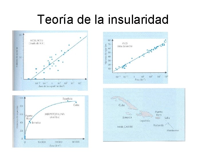 Teoría de la insularidad 