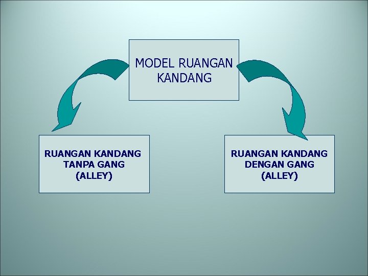 MODEL RUANGAN KANDANG TANPA GANG (ALLEY) RUANGAN KANDANG DENGAN GANG (ALLEY) 