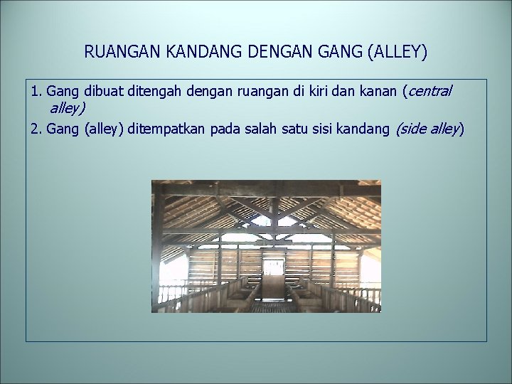 RUANGAN KANDANG DENGAN GANG (ALLEY) 1. Gang dibuat ditengah dengan ruangan di kiri dan