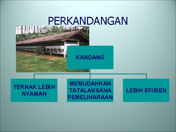 PERKANDANGAN KANDANG TERNAK LEBIH NYAMAN MEMUDAHKAN TATALAKSANA PEMELIHARAAN LEBIH EFISIEN 