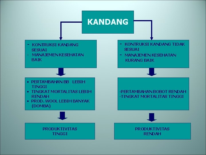 KANDANG - KONTRUKSI KANDANG SESUAI - MANAJEMEN KESEHATAN BAIK - KONTRUKSI KANDANG TIDAK SESUAI