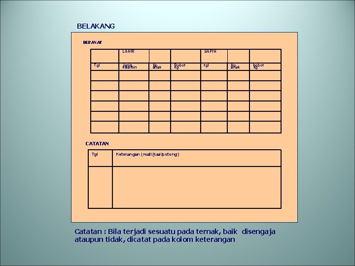 BELAKANG BERANAK LAHIR Tgl Jenis kelamin SAPIH No anak Bobot kg tgl No anak
