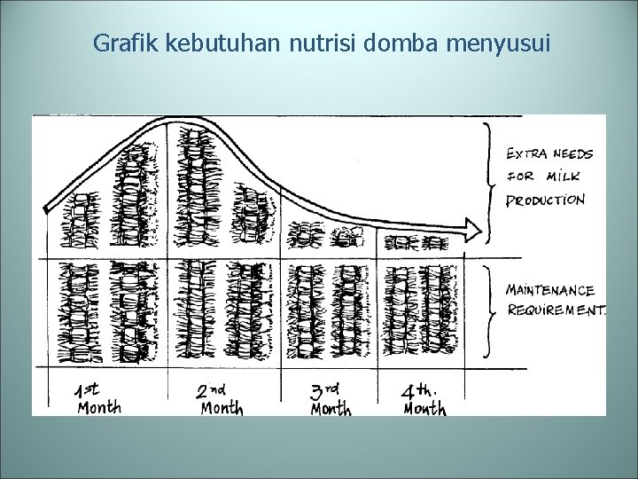 Grafik kebutuhan nutrisi domba menyusui 