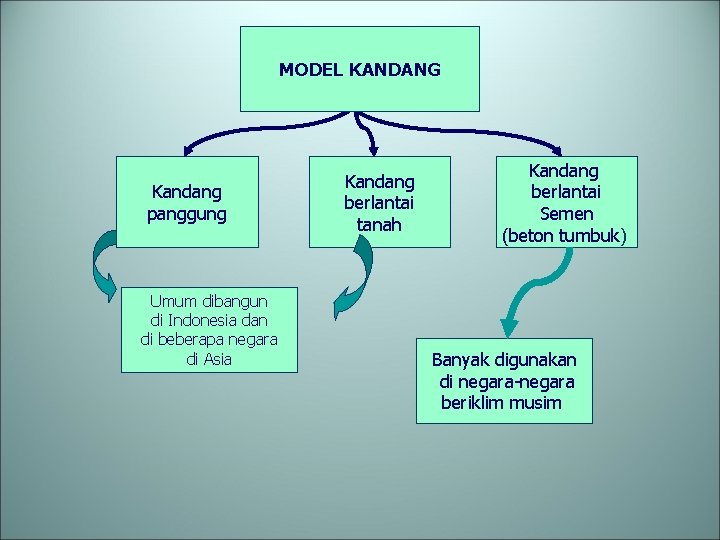 MODEL KANDANG Kandang panggung Umum dibangun di Indonesia dan di beberapa negara di Asia