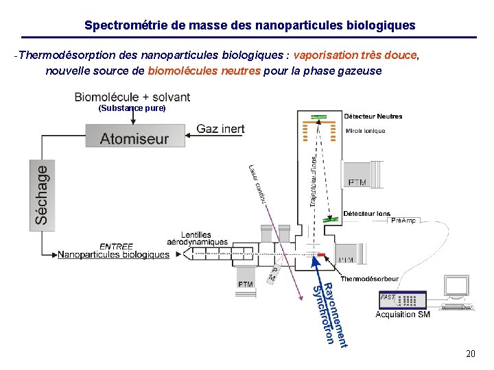 Spectrométrie de masse des nanoparticules biologiques -Thermodésorption des nanoparticules biologiques : vaporisation très douce,