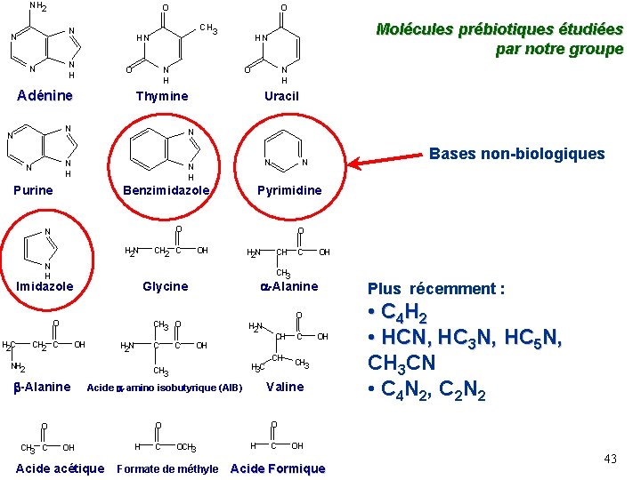 NH 2 O O N N N H N CH 3 HN O Molécules