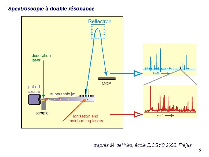 Spectroscopie à double résonance d’après M. de. Vries, école BIOSYS 2008, Fréjus 9 