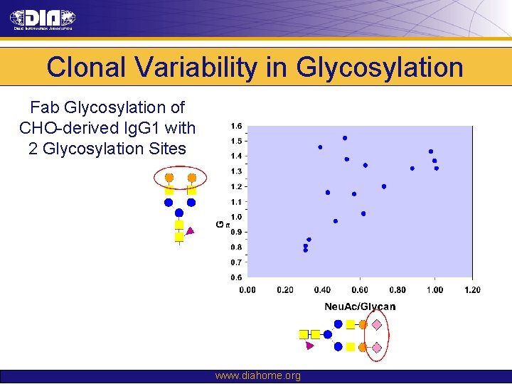 Clonal Variability in Glycosylation Fab Glycosylation of CHO-derived Ig. G 1 with 2 Glycosylation