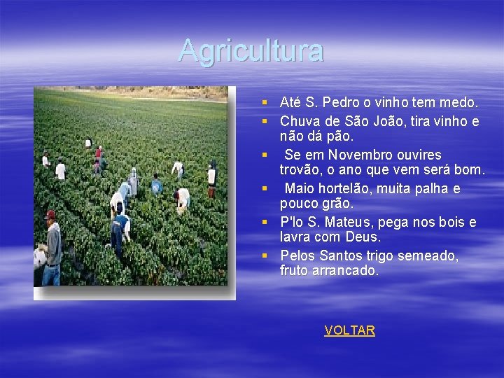 Agricultura § Até S. Pedro o vinho tem medo. § Chuva de São João,