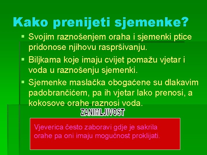 Kako prenijeti sjemenke? § Svojim raznošenjem oraha i sjemenki ptice pridonose njihovu raspršivanju. §