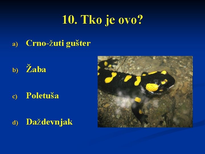 10. Tko je ovo? a) Crno-žuti gušter b) Žaba c) Poletuša d) Daždevnjak 