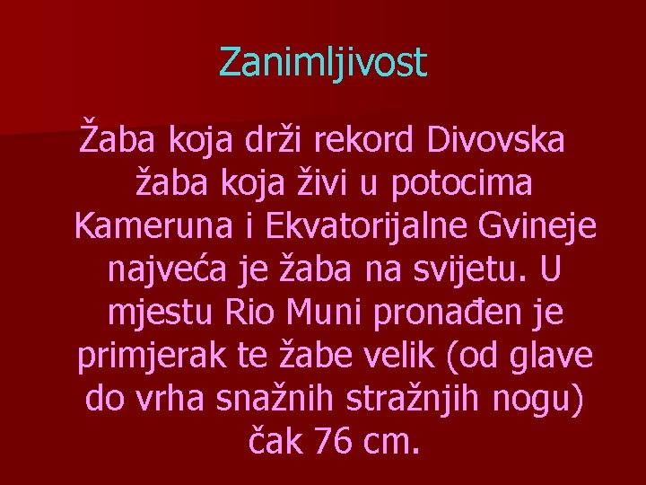 Zanimljivost Žaba koja drži rekord Divovska žaba koja živi u potocima Kameruna i Ekvatorijalne