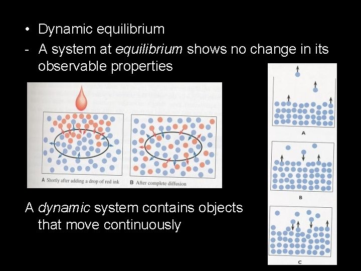  • Dynamic equilibrium - A system at equilibrium shows no change in its