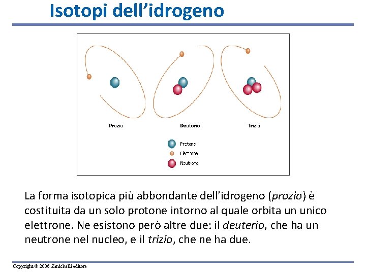 Isotopi dell’idrogeno La forma isotopica più abbondante dell'idrogeno (prozio) è costituita da un solo