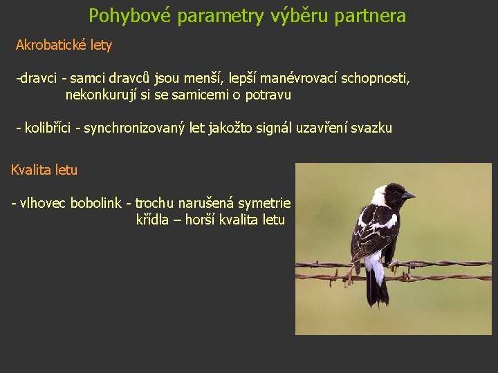 Pohybové parametry výběru partnera Akrobatické lety -dravci - samci dravců jsou menší, lepší manévrovací