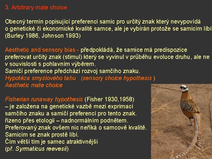 3. Arbitrary mate choice Obecný termín popisující preferenci samic pro určitý znak který nevypovídá