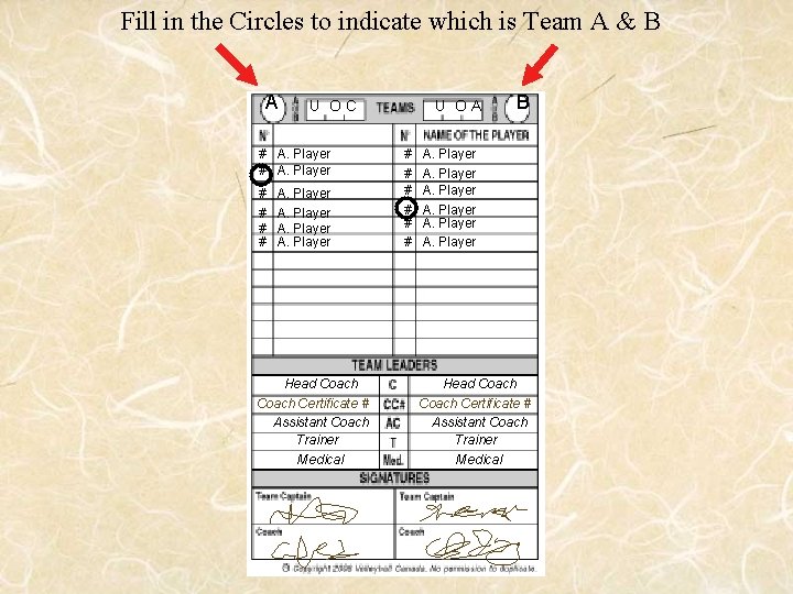 Fill in the Circles to indicate which is Team A & B A U