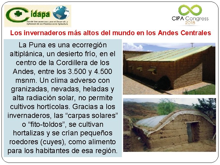 Los invernaderos más altos del mundo en los Andes Centrales La Puna es una