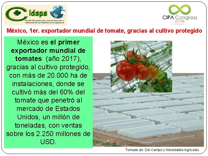 México, 1 er. exportador mundial de tomate, gracias al cultivo protegido México es el