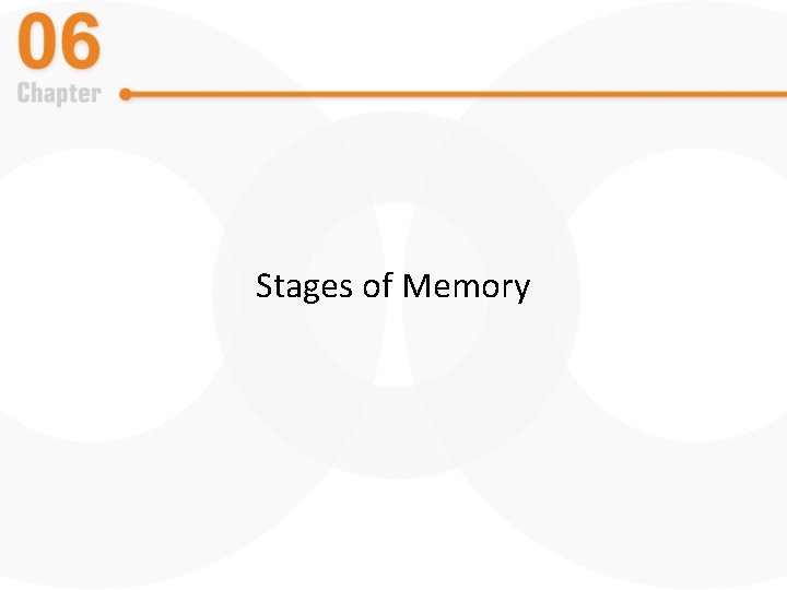 Stages of Memory 