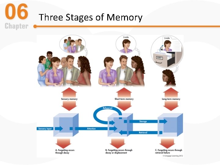 Three Stages of Memory 