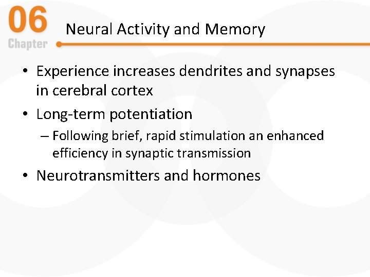 Neural Activity and Memory • Experience increases dendrites and synapses in cerebral cortex •