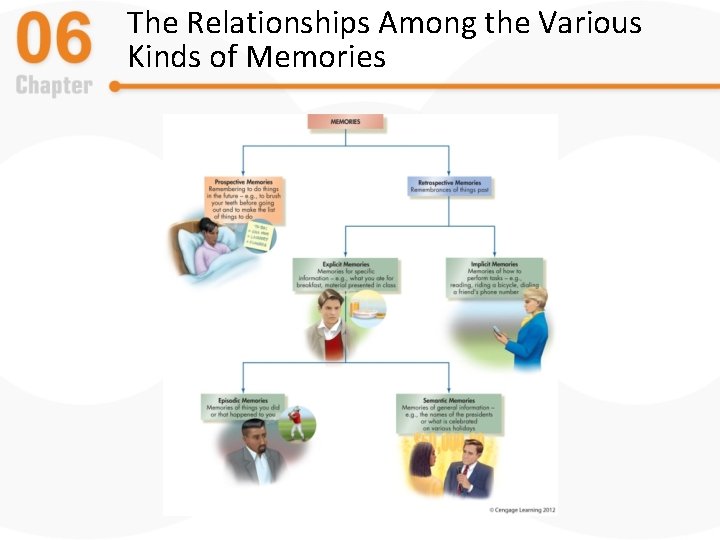 The Relationships Among the Various Kinds of Memories 