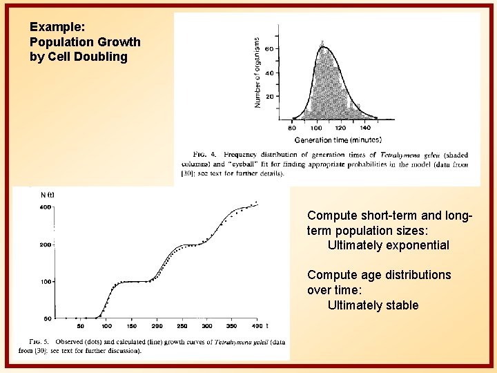 Example: Population Growth by Cell Doubling Compute short-term and longterm population sizes: Ultimately exponential