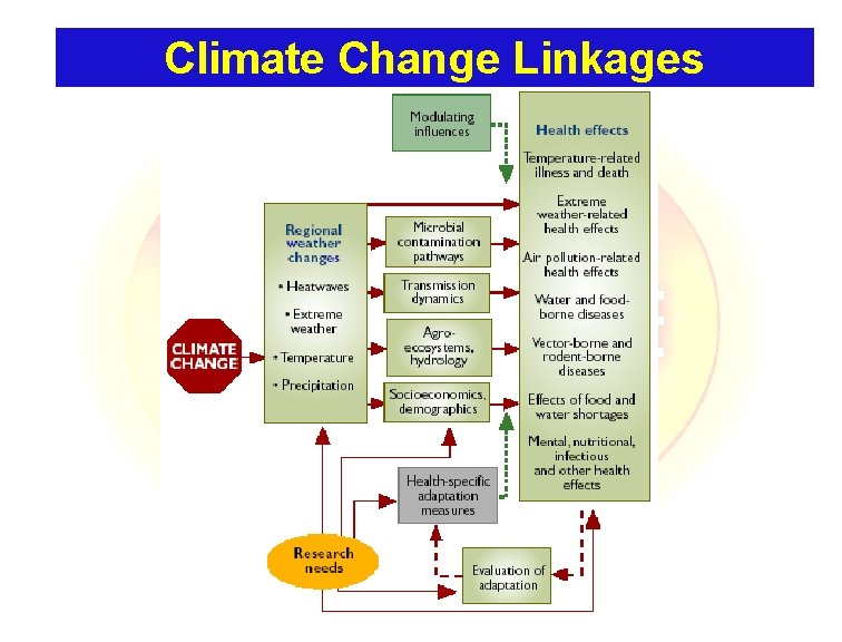 Climate Change Linkages 
