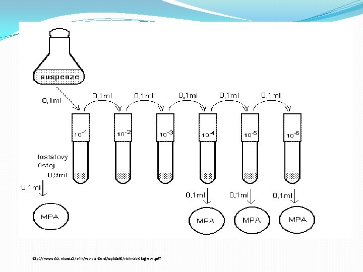 http: //www. sci. muni. cz/mik/wp-content/uploads/mikrobiologiecv. pdf 