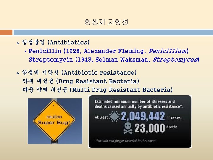 항생제 저항성 v 항생물질 (Antibiotics) § Penicillin (1928, Alexander Fleming, Penicillium) Streptomycin (1943, Selman