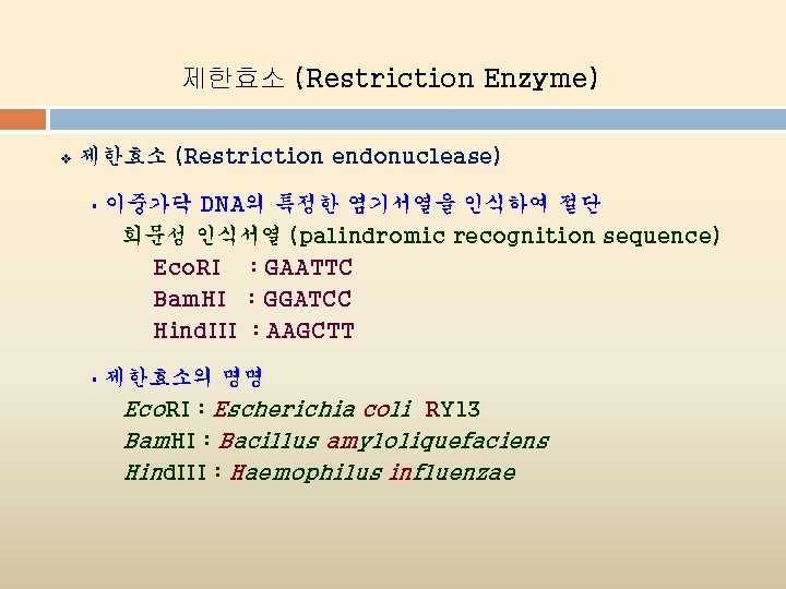 제한효소 (Restriction Enzyme) v 제한효소 (Restriction endonuclease) § 이중가닥 DNA의 특정한 염기서열을 인식하여 절단