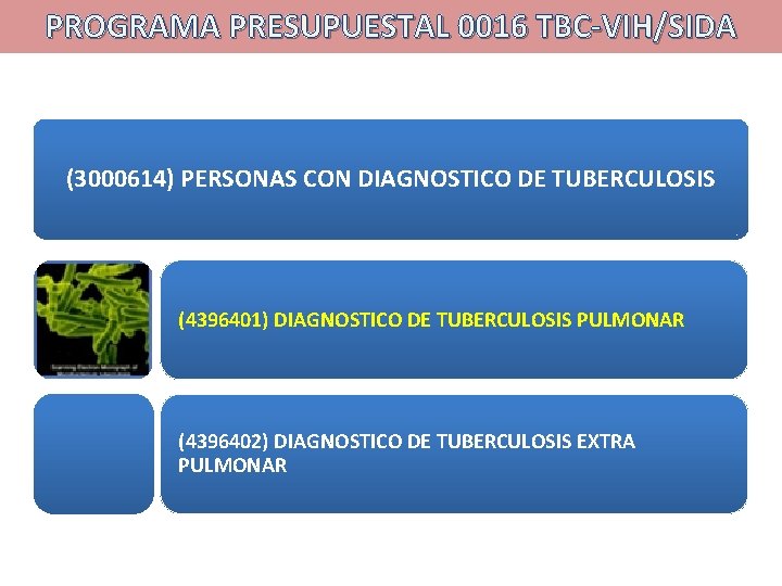 PROGRAMA PRESUPUESTAL 0016 TBC-VIH/SIDA (3000614) PERSONAS CON DIAGNOSTICO DE TUBERCULOSIS (4396401) DIAGNOSTICO DE TUBERCULOSIS