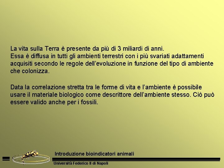 La vita sulla Terra è presente da più di 3 miliardi di anni. Essa