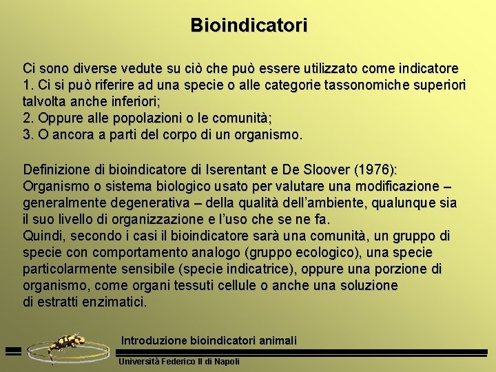 Bioindicatori Ci sono diverse vedute su ciò che può essere utilizzato come indicatore 1.