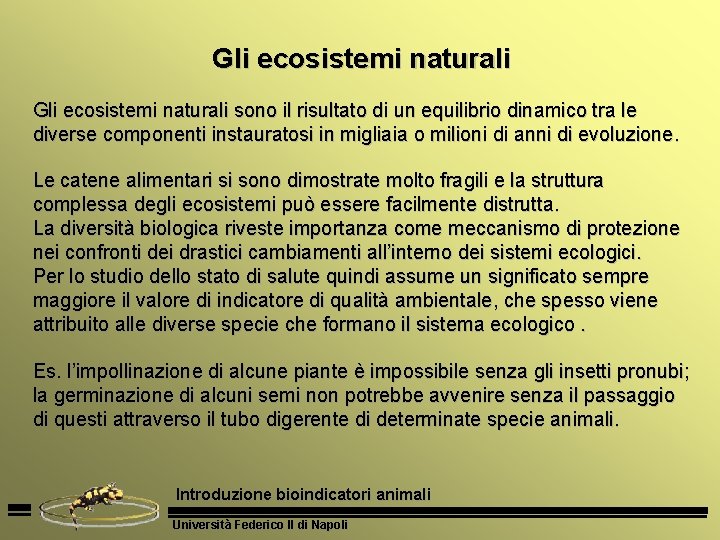 Gli ecosistemi naturali sono il risultato di un equilibrio dinamico tra le diverse componenti