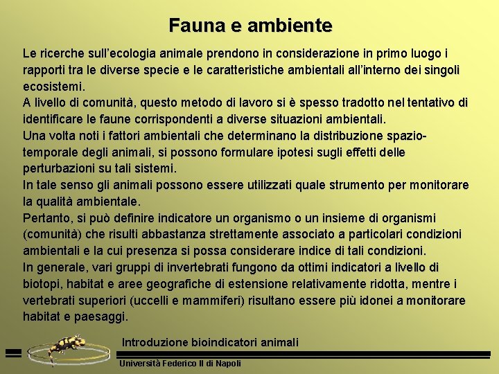 Fauna e ambiente Le ricerche sull’ecologia animale prendono in considerazione in primo luogo i