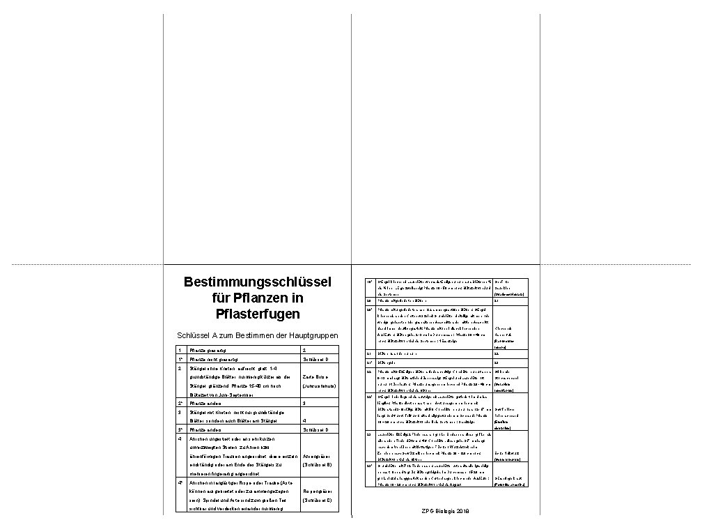 Bestimmungsschlüssel für Pflanzen in Pflasterfugen 19* Stängel kriechend; Laubblätter wechselständig, purpurbraun, Blättchen ¼ Gehörnter