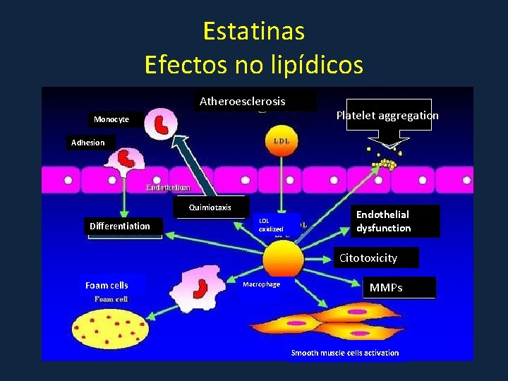 Estatinas Efectos no lipídicos Atheroesclerosis Monocyte Platelet aggregation Adhesion Quimiotaxis Differentiation LDL oxidized Endothelial